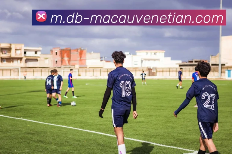 威尼斯人官网平台生态图